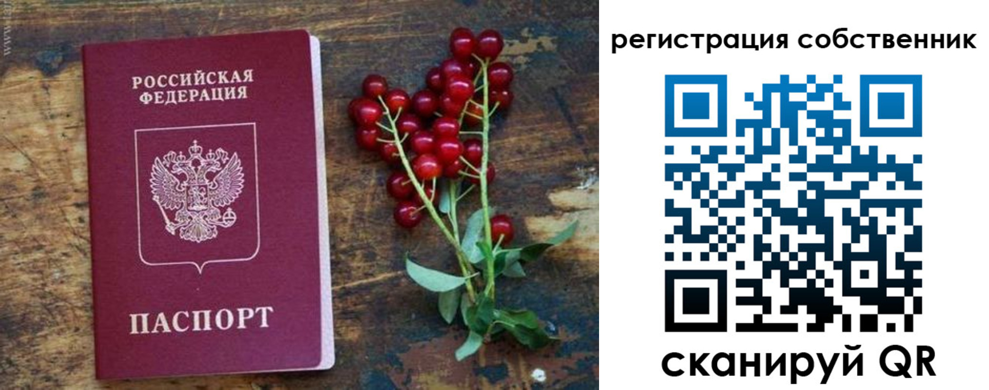 регистрация для дет. сада в Высоковске